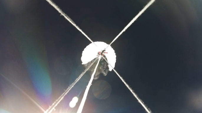 Team’s camera frame showing the asymmetric balloon burst